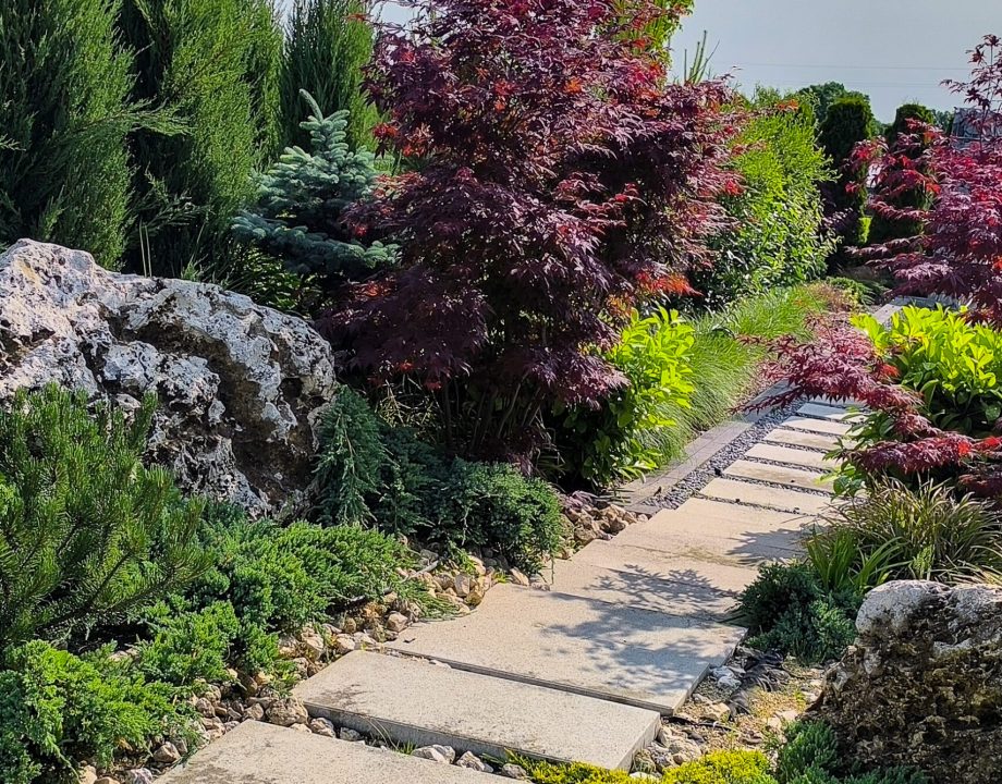 IMG_20250606_090248-2